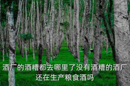 廣東哪里有收購(gòu)酒糟,有大量酒糟沒(méi)有用處倒掉了