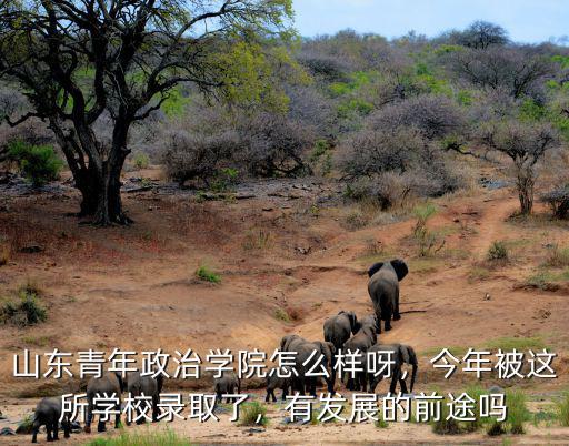 山東青年政治學院怎么樣呀，今年被這所學校錄取了，有發(fā)展的前途嗎