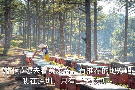 佛山端午節賽龍舟在哪里比賽,端午節為什么要賽龍舟呢