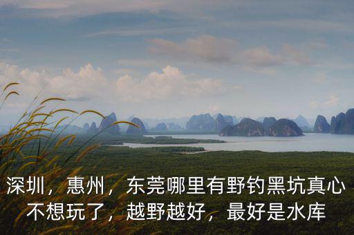 深圳，惠州，東莞哪里有野釣黑坑真心不想玩了，越野越好，最好是水庫