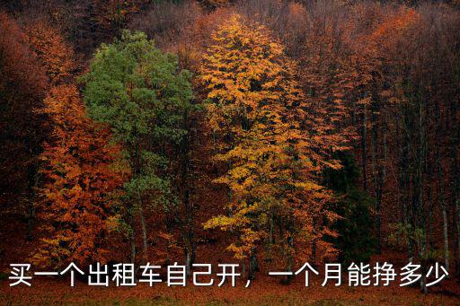 買一個出租車自己開，一個月能掙多少