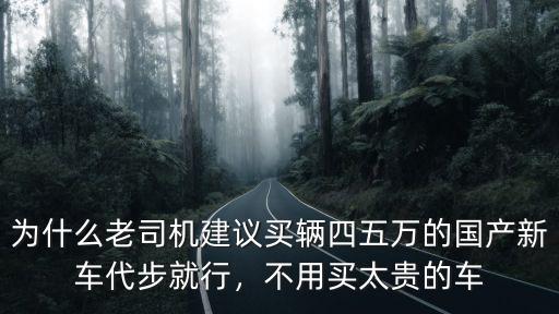 為什么老司機建議買輛四五萬的國產新車代步就行，不用買太貴的車