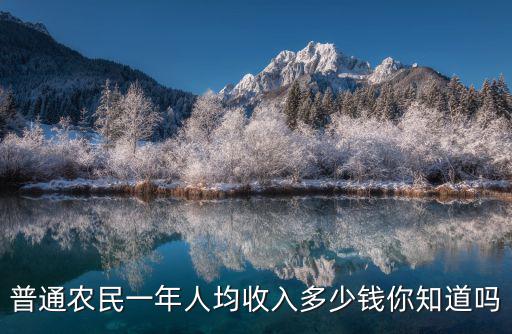浙江田畝費一年有多少錢,普通農(nóng)民一年人均收入多少錢