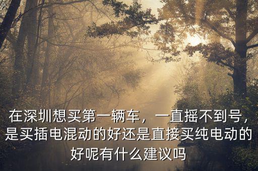 在深圳想買第一輛車，一直搖不到號，是買插電混動的好還是直接買純電動的好呢有什么建議嗎