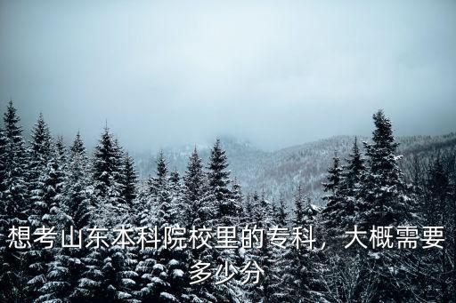 山東統(tǒng)招專(zhuān)升本的考生共多少分,山東統(tǒng)招專(zhuān)升本考試難嗎