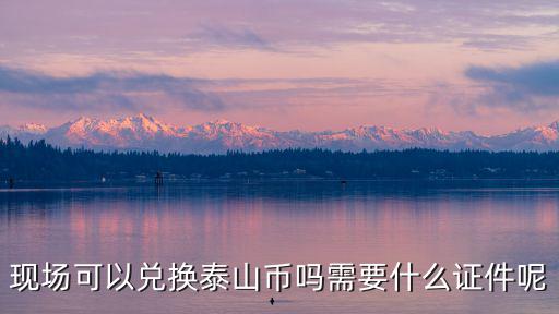 泰山幣山東現場兌換額度多少,現場可以兌換泰山幣嗎