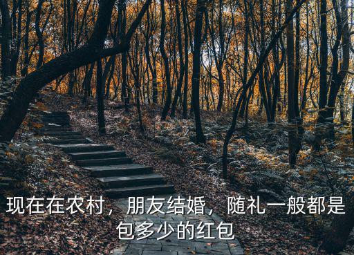 現在在農村，朋友結婚，隨禮一般都是包多少的紅包