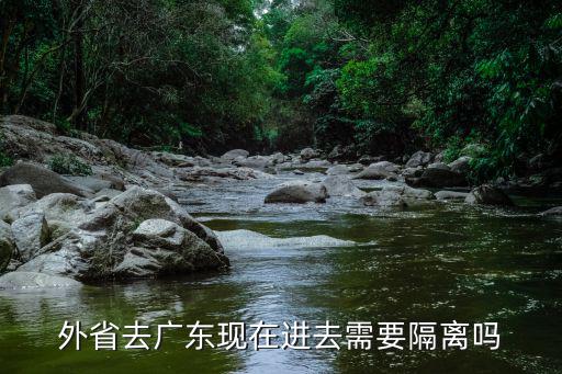 現(xiàn)在在廣州發(fā)燒了怎么辦要隔離嗎,已經(jīng)在老家隔離過返廣州