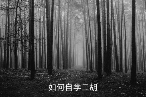 如何自學二胡