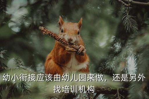 幼小銜接應該由幼兒園來做，還是另外找培訓機構