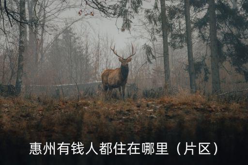 惠州有錢人都住在哪里（片區）