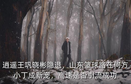 逍遙王鞏曉彬隱退，山東籃球路在何方小丁成新寵，高速是否引流成功