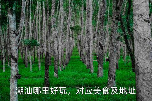 中山美食城地址在哪里,潮汕哪里好玩