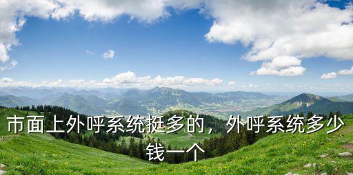 廣東電銷外呼回?fù)芟到y(tǒng)多少錢,市面上外呼系統(tǒng)挺多的