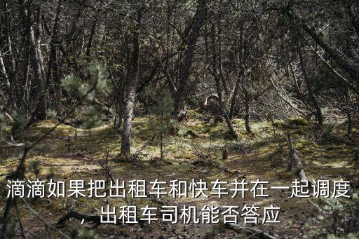滴滴如果把出租車和快車并在一起調度，出租車司機能否答應