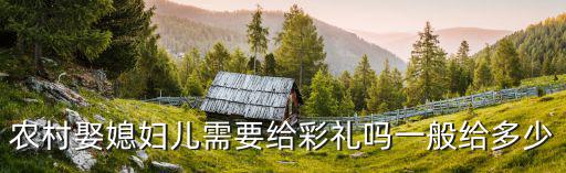 農村娶媳婦兒需要給彩禮嗎一般給多少