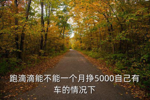 跑滴滴能不能一個(gè)月掙5000自己有車的情況下