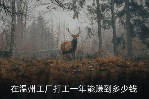 在溫州工廠打工一年能賺到多少錢