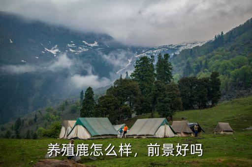廣東梅花鹿苗養(yǎng)殖怎么樣,養(yǎng)殖梅花鹿怎么樣