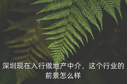 深圳現在入行做地產中介，這個行業的前景怎么樣