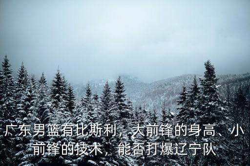 廣東男籃有比斯利，大前鋒的身高、小前鋒的技術(shù)，能否打爆遼寧隊