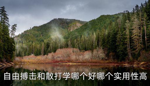 自由搏擊和散打?qū)W哪個(gè)好哪個(gè)實(shí)用性高