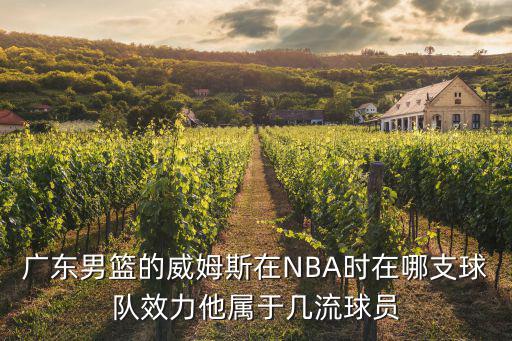 廣東男籃的威姆斯在NBA時在哪支球隊效力他屬于幾流球員