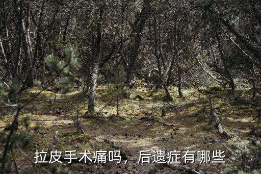 拉皮手術痛嗎，后遺癥有哪些