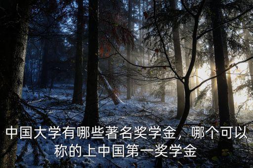 2020浙江大學(xué)新生獎(jiǎng)學(xué)金多少,浙江一高校設(shè)新生獎(jiǎng)學(xué)金