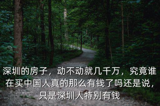 深圳最有錢的小區(qū)是哪里,深圳的富人區(qū)在哪里