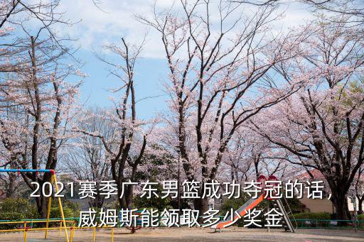 廣東男籃冠軍的獎金是多少,CBA總冠軍的獎金有多少呢