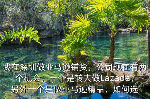 在深圳亞馬遜銷售一般多少錢,我在深圳做亞馬遜鋪貨