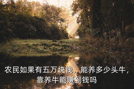 山東買小牛犢多少錢一頭,能養多少頭牛