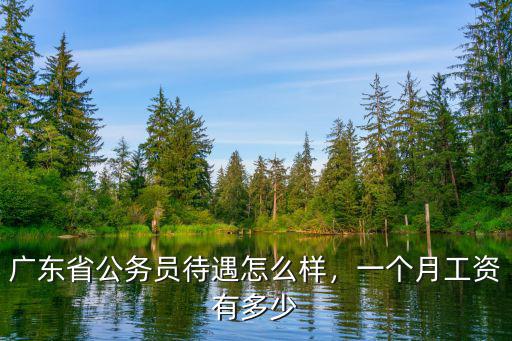 廣東省公務員待遇怎么樣，一個月工資有多少
