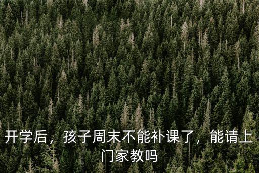 開學(xué)后，孩子周末不能補課了，能請上門家教嗎