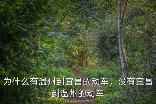 宜昌到溫州多少錢,為什么有溫州到宜昌的動車