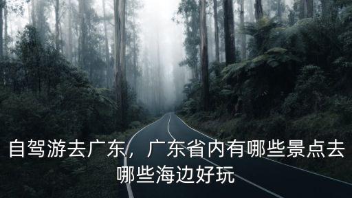 自駕游去廣東，廣東省內有哪些景點去哪些海邊好玩