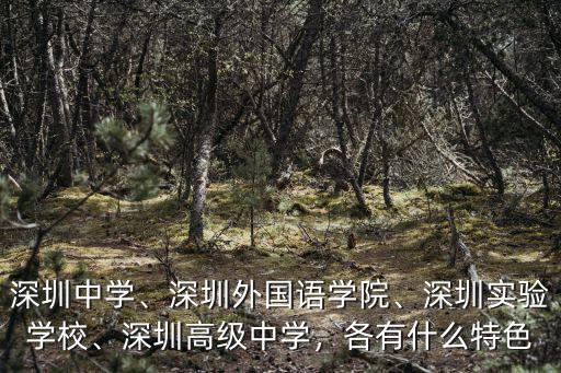 深圳中學校招多少人,深圳高級中學