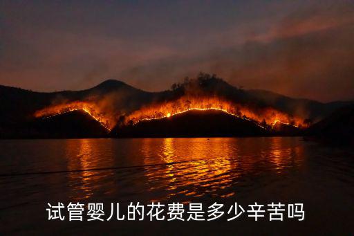 試管嬰兒的花費是多少辛苦嗎