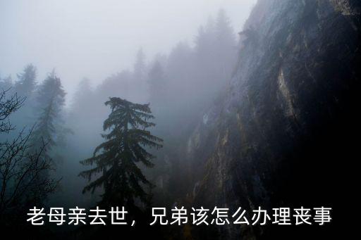 老母親去世，兄弟該怎么辦理喪事