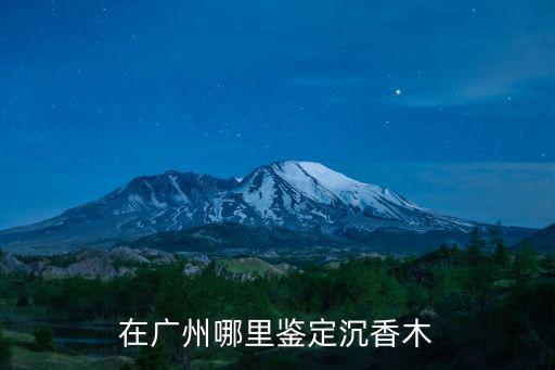 廣東沉香是哪里,哪里產(chǎn)的沉香品質(zhì)比較好