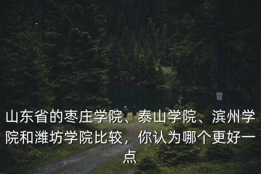 山東省的棗莊學院、泰山學院、濱州學院和濰坊學院比較，你認為哪個更好一點
