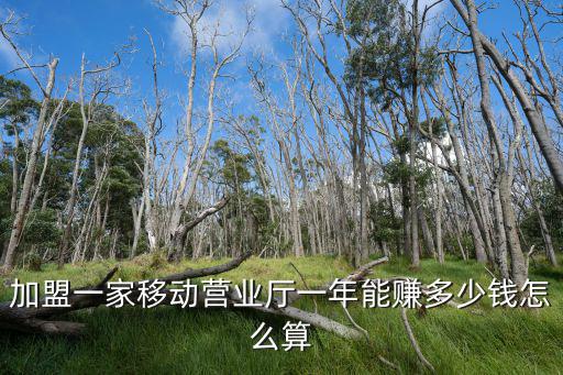 加盟一家移動(dòng)營業(yè)廳一年能賺多少錢怎么算