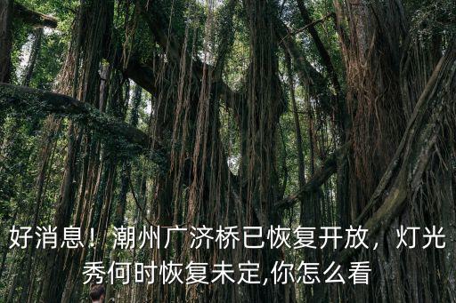 好消息！潮州廣濟橋已恢復(fù)開放，燈光秀何時恢復(fù)未定,你怎么看