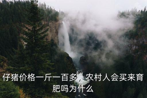 仔豬價格一斤一百多，農村人會買來育肥嗎為什么