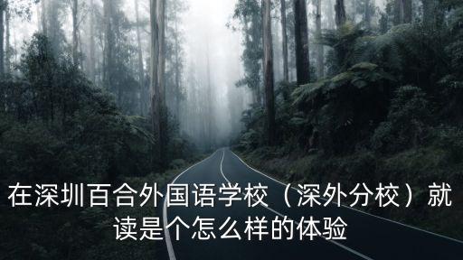 深圳布吉螺絲外語私立學校怎么樣,就讀是個怎么樣的體驗