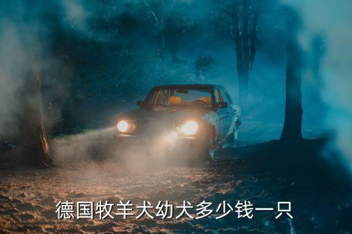 德國(guó)牧羊犬幼犬多少錢(qián)一只
