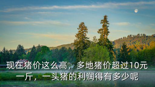 現在豬價這么高，多地豬價超過10元一斤，一頭豬的利潤得有多少呢