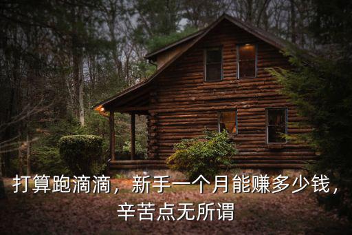 打算跑滴滴，新手一個月能賺多少錢，辛苦點無所謂