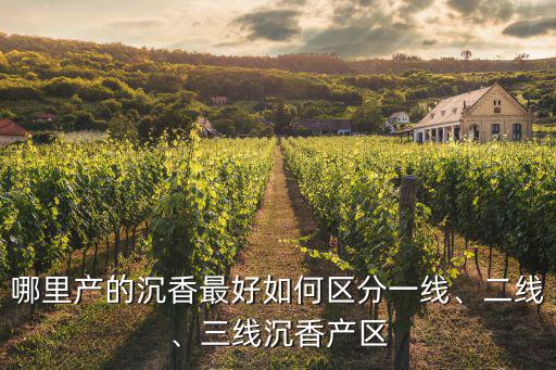 哪里產的沉香最好如何區分一線、二線、三線沉香產區